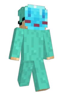 catoat Minecraft avatar full body