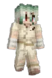 catt_disc Minecraft avatar full body