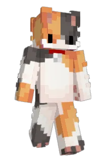 cattachi Minecraft avatar full body