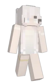 catttxd Minecraft avatar full body