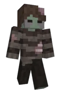 caydertot Minecraft avatar full body