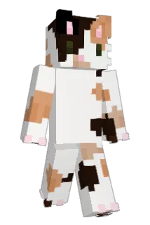 cayetananana Minecraft avatar full body