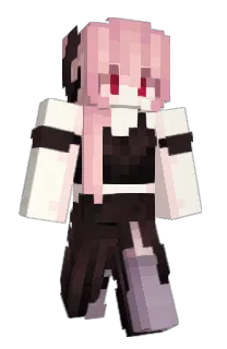 Nettichi's Minecraft skin