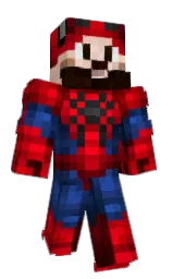 Minecraft skin — Classic model