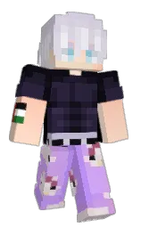 Minecraft skin — Classic model