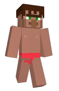 Front of SumoMonke's skin