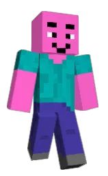 seungwoo_0213's Minecraft skin wearing the Follower's cape