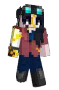 Arctaerfarius