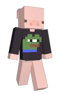 Front of LlamaConDrogas's skin