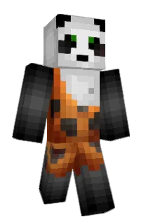 Front of Xtorbit's skin
