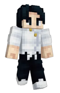 Front of Aprika's skin