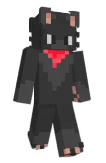 Front of NXPXC's skin