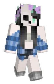 Skin preview