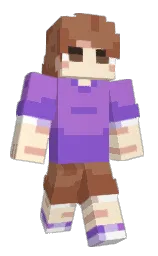 Minecraft skin — Classic model