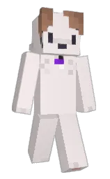 Kyunm's Minecraft skin wearing the Migrator cape