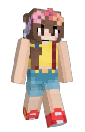 Skin preview
