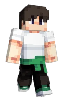 s_FunTime_1's Minecraft skin