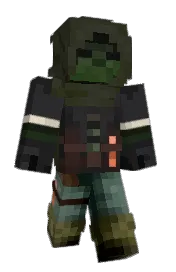 Skin preview