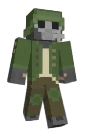 Skin preview