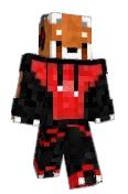 ShadowFEC