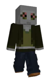 Skin preview