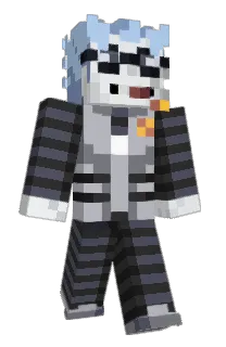 Polandmaster69's Minecraft skin