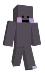 twin_dust's Minecraft skin wearing the Migrator cape