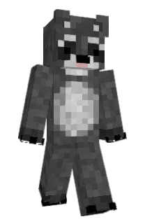 Front of Minecraft skin