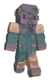 Front of Sheppennings's skin