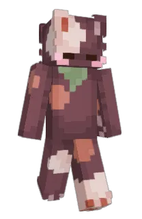 Front of DrBonnie's skin