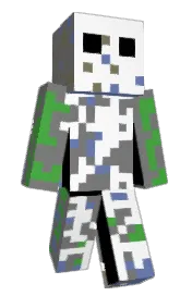 Skin preview