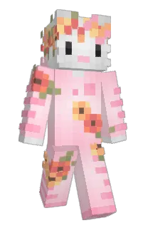 Front of Ciachoz's skin