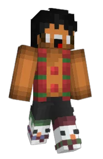 Front of fillanzo's skin