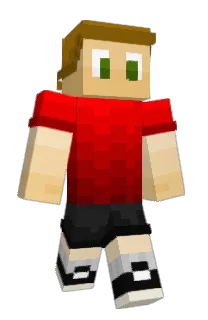 Front of FastFork's skin