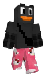 mine shaft and french rose Minecraft skin — Classic model
