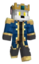 Minecraft skin — Classic model