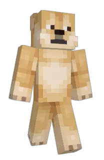 acidchiray123's Minecraft skin
