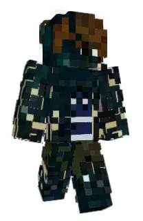 Front of reyphoenix's skin