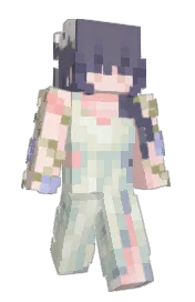 Skin preview