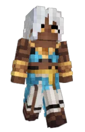 Skin preview