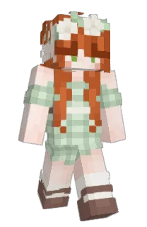 Front of Minecraft skin