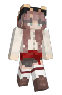 Front of NpSolved's skin