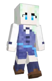 Skin preview