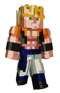 Front of poblooo's skin