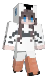 Classic Minecraft skin