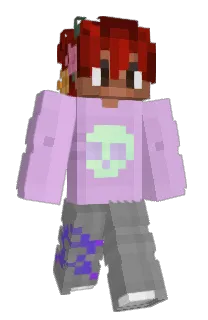 Front of HappisHome's skin
