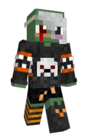 Skin preview