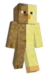 Front of Minecraft skin