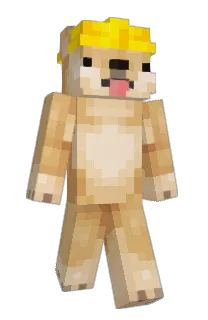 Front of pisimaksima's skin