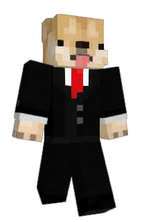 Front of Quinoman1000's skin